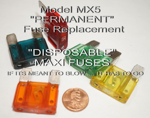 disposable maxi fuse